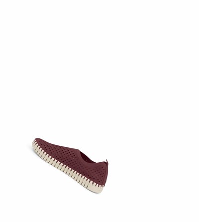 Women's Ilse Jacobsen Ballerina Burgundy | TX2501643