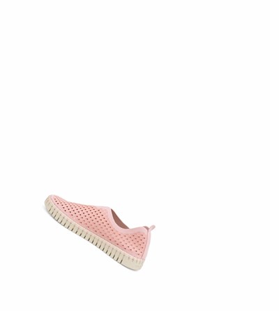 Women's Ilse Jacobsen Ballerina Rose | ZF7480625