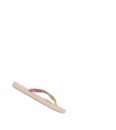 Women's Ilse Jacobsen Flip Flops Brown | NW9128605