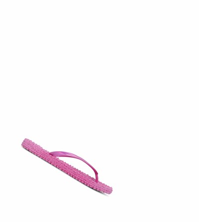 Women's Ilse Jacobsen Flip Flops Pink | ZF2384761