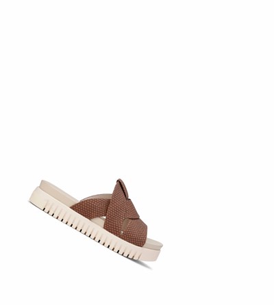 Women's Ilse Jacobsen Sandals Brown | MW8213906