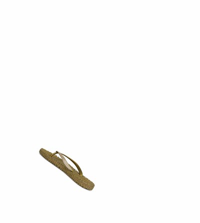 Women's Ilse Jacobsen With Glitter Flip Flops Gold | AO7028451