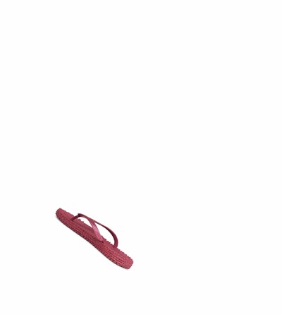 Women's Ilse Jacobsen With Glitter Flip Flops Burgundy | EI3429651