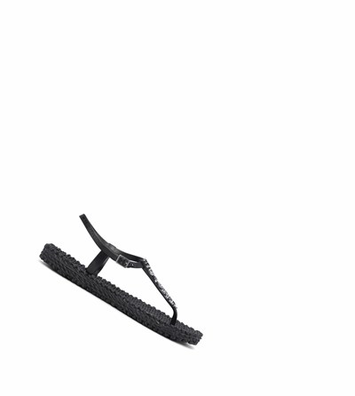 Women's Ilse Jacobsen With Glitter Flip Flops Black | SU8132604