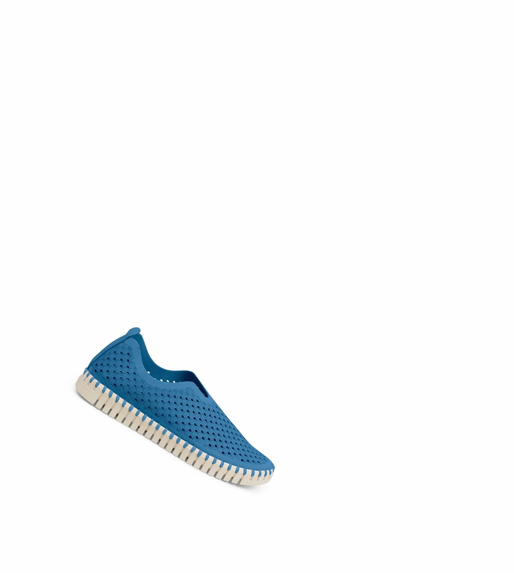 Women's Ilse Jacobsen Ballerina Blue | ZM3482015