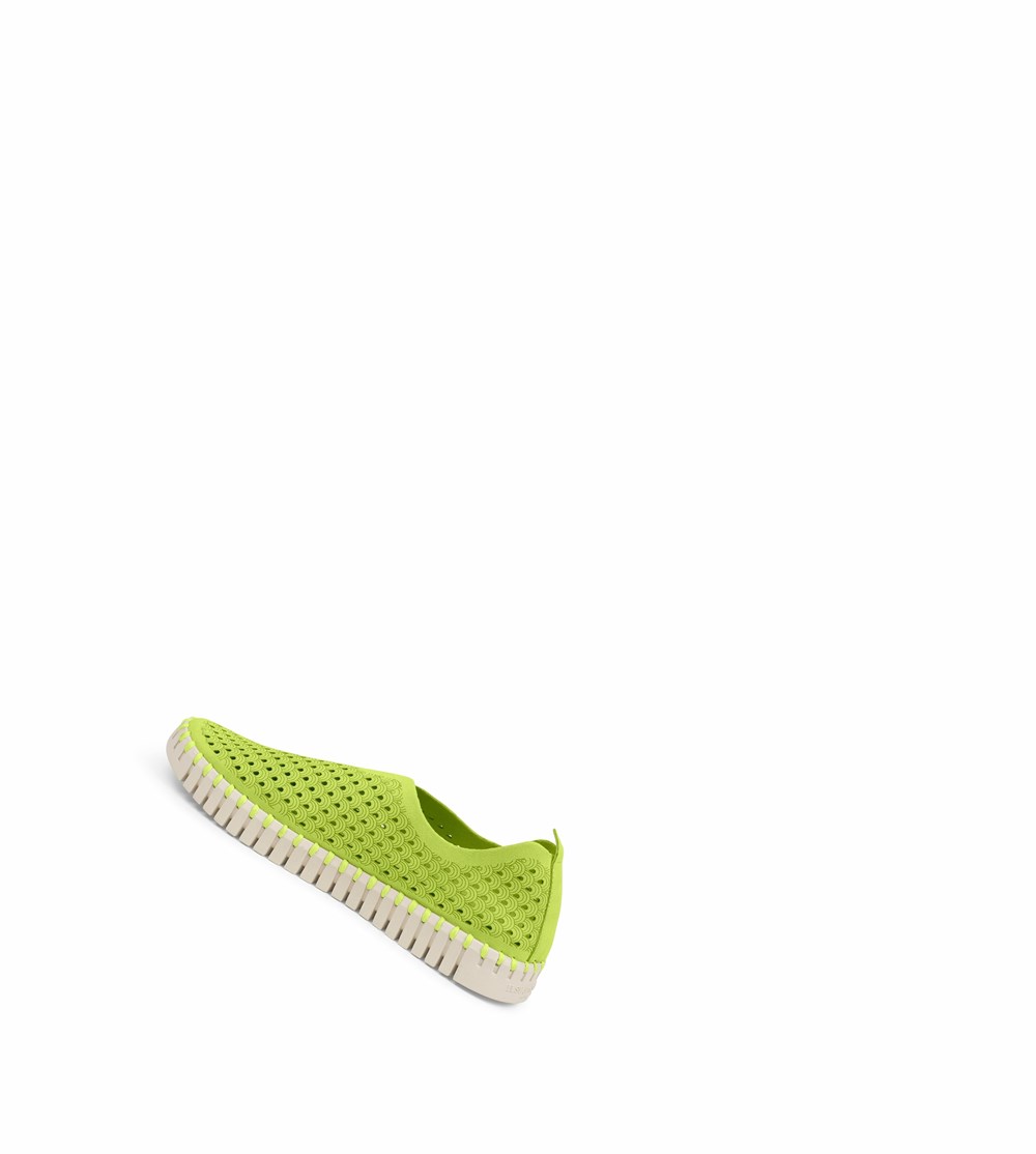 Women\'s Ilse Jacobsen Ballerina Light Green | QI0352798