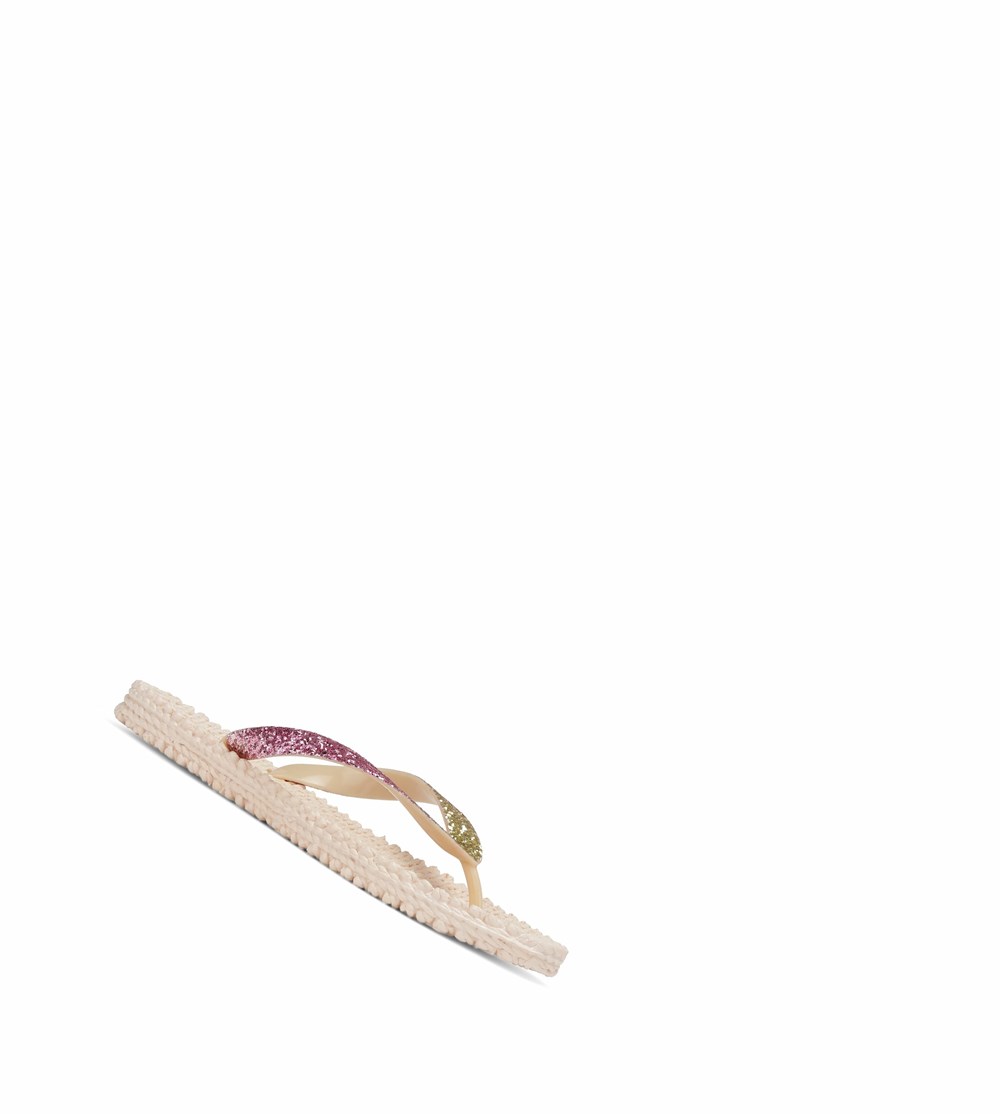 Women's Ilse Jacobsen Flip Flops Brown | NW9128605