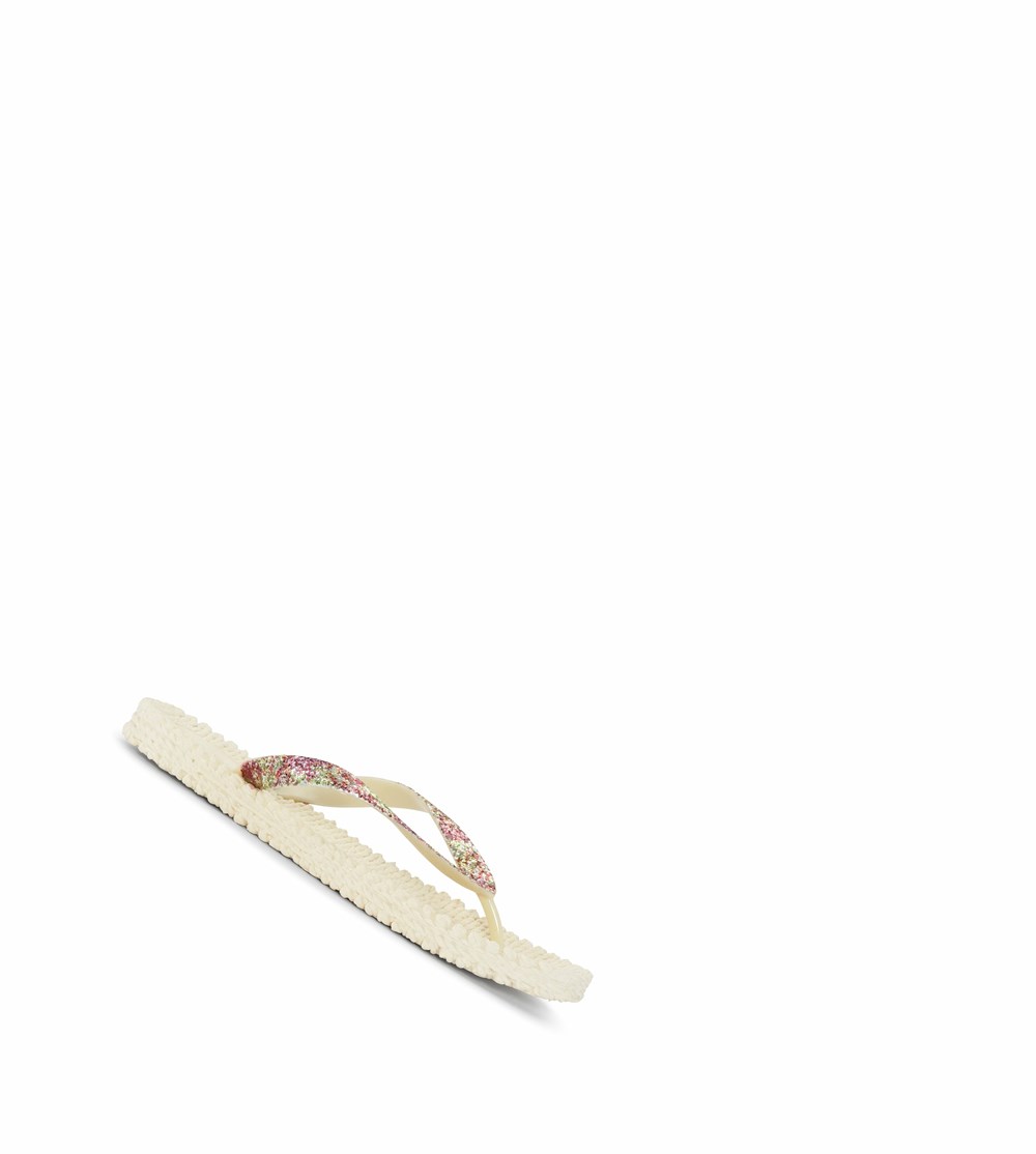 Women's Ilse Jacobsen Flip Flops Brown | NW9128605