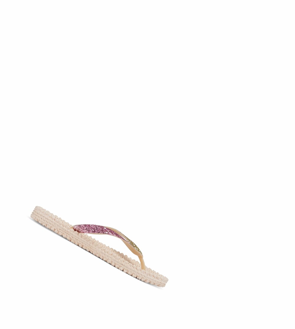 Women\'s Ilse Jacobsen Flip Flops Brown | NW9128605