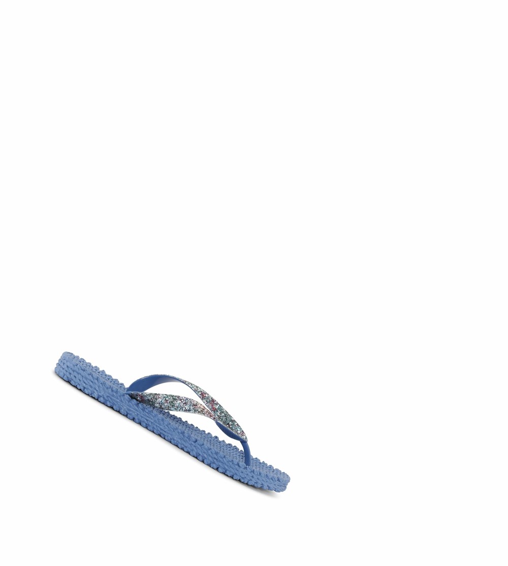 Women's Ilse Jacobsen Flip Flops Brown | RF3076815