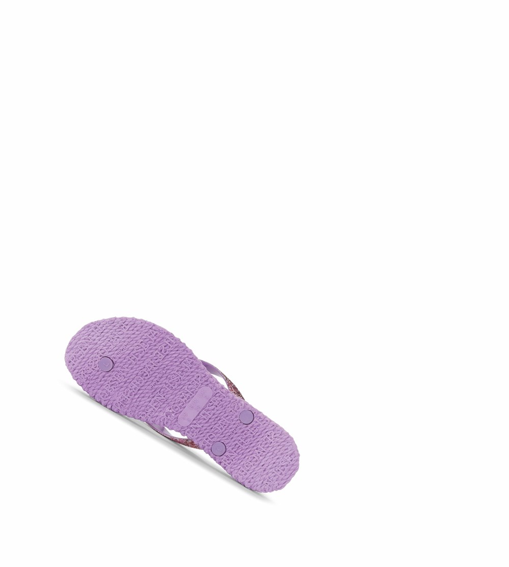 Women's Ilse Jacobsen Flip Flops Purple | LX8675904