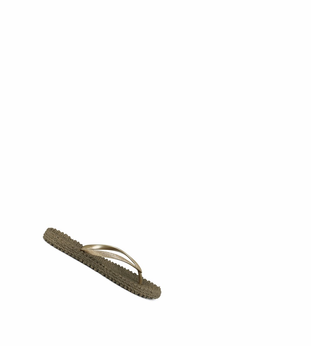 Women's Ilse Jacobsen With Glitter Flip Flops Brown | BI9786432