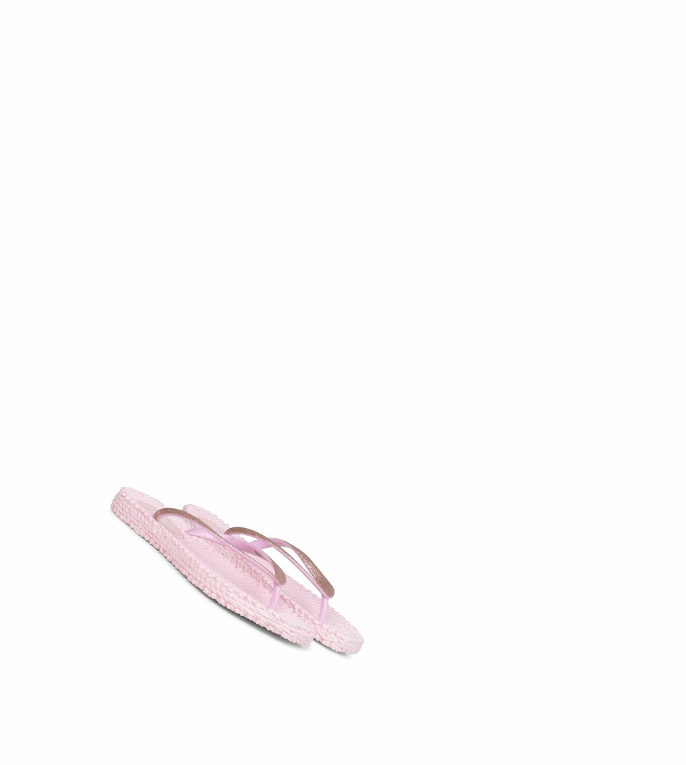 Women's Ilse Jacobsen With Glitter Flip Flops Black | JF0258679