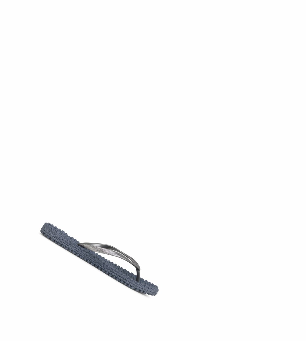 Women's Ilse Jacobsen With Glitter Flip Flops Grey | LC2604758