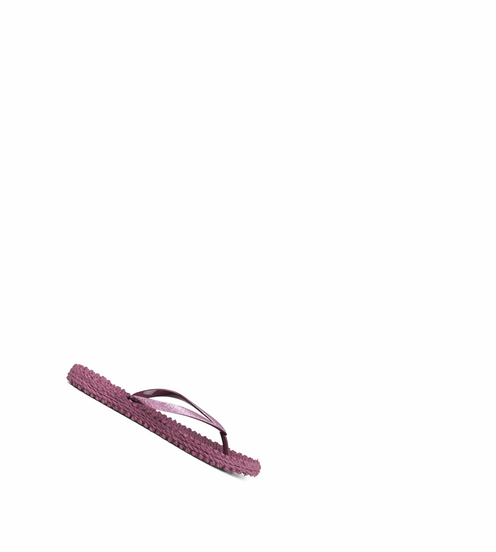 Women's Ilse Jacobsen With Glitter Flip Flops Brown | LH1836029