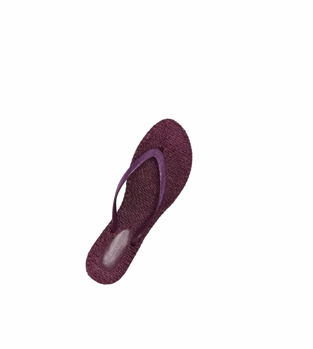 Women's Ilse Jacobsen With Glitter Flip Flops Brown | LH1836029