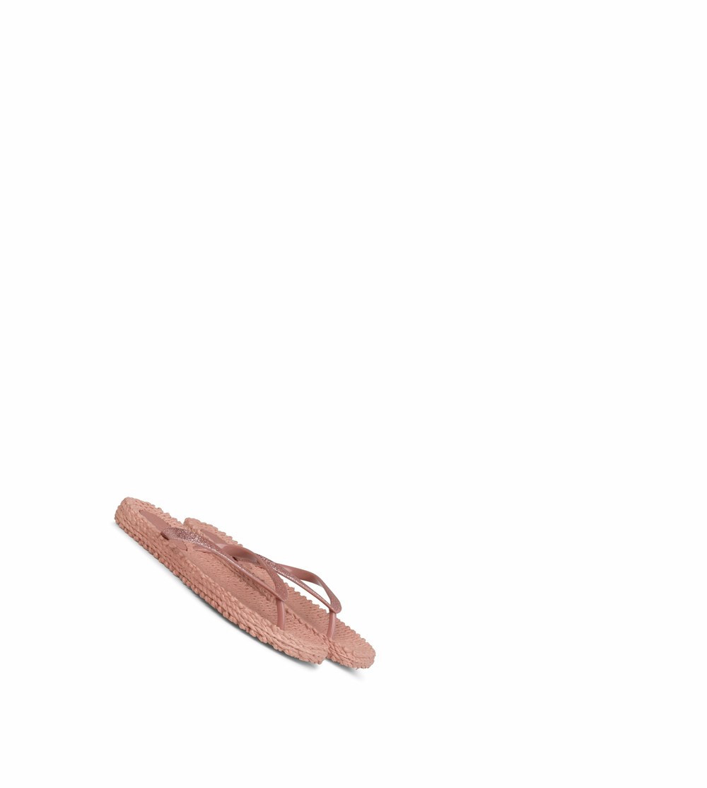 Women's Ilse Jacobsen With Glitter Flip Flops Rose | VQ8143925